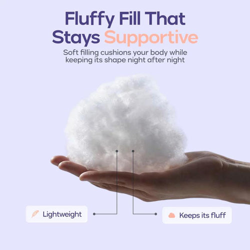 Clarivite BodyAlign Plus+ Pillow