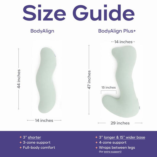 Clarivite BodyAlign Plus+ Pillow