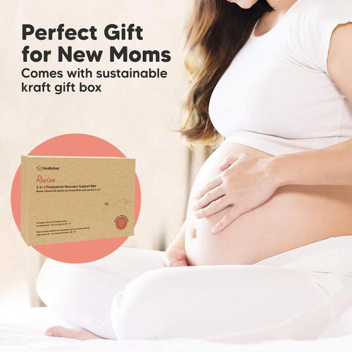 Clarivite Belly Support Band