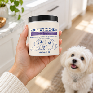 Probiotic Chew for Dogs